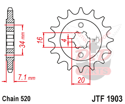 JT везда ведущая JTF1903 13